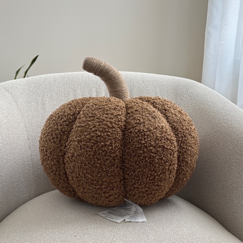 Pottery barn cozy Pumpkin Pillow